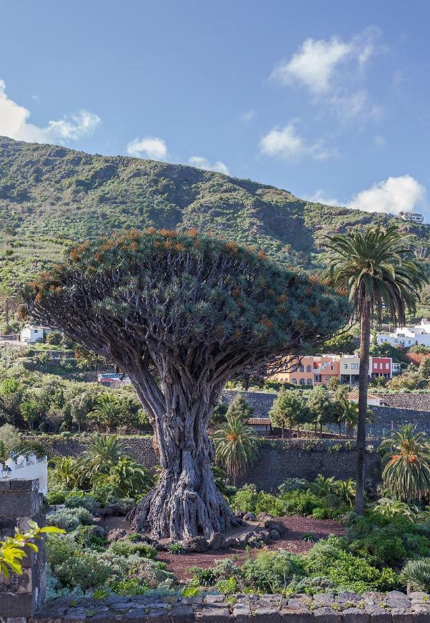 Terraza Centrico Pueblo Aparcamiento Cerca Apartment Icod De Los Vinos Luaran gambar